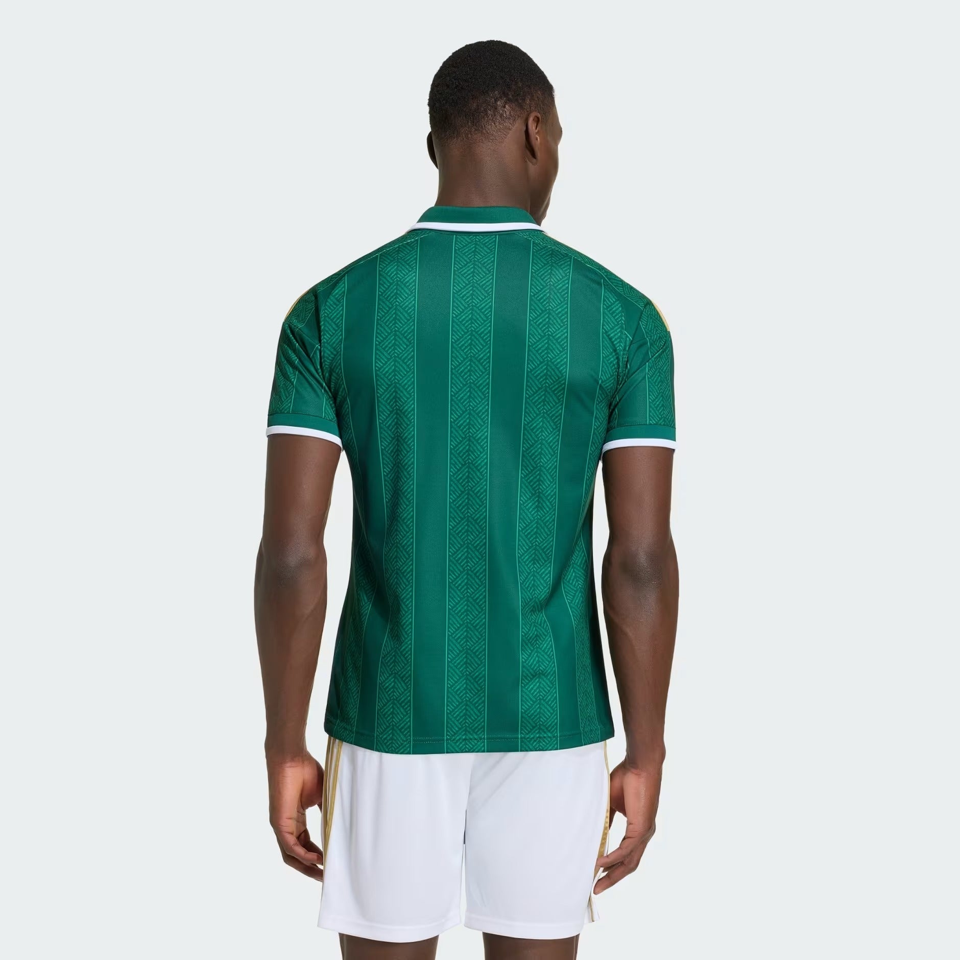 Camisa África do Sul 2026/27 I